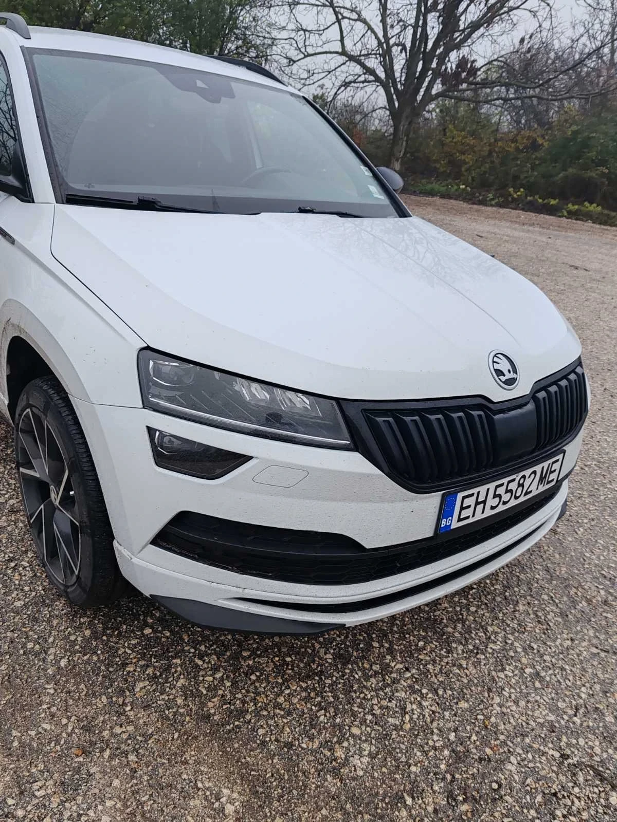 Skoda Karoq 2.0 TDi 4x4 sport line, снимка 1