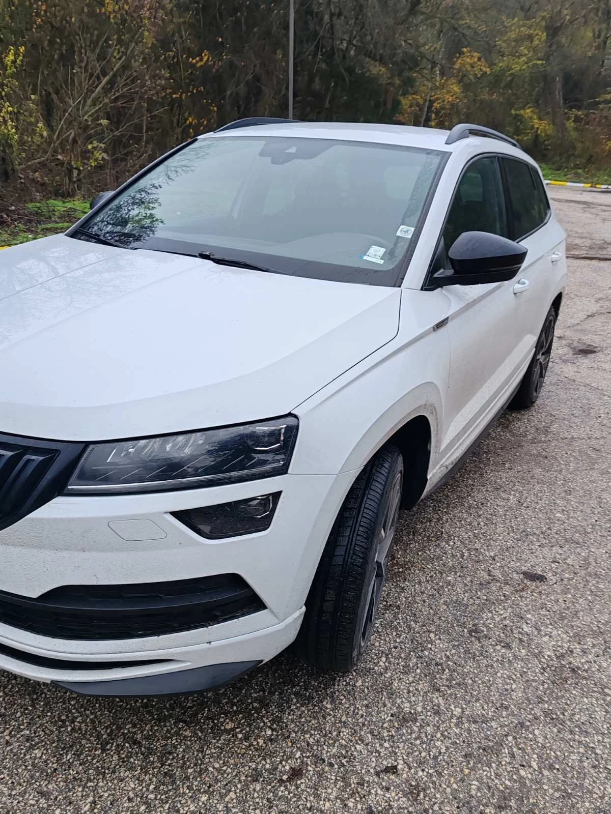 Skoda Karoq 2.0 TDi 4x4 sport line | Mobile.bg � ����������� 13