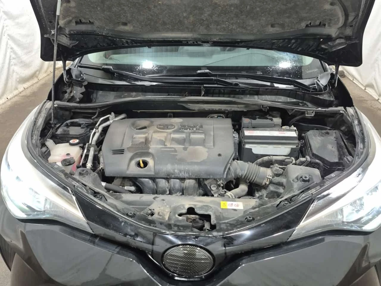 Toyota C-HR * LE * ГЛАВНО ПРЕДСТАВИТЕЛСТВО* , снимка 17 - Автомобили и джипове - 54553030