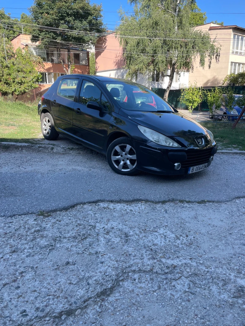 Peugeot 307, снимка 11 - Автомобили и джипове - 47009524