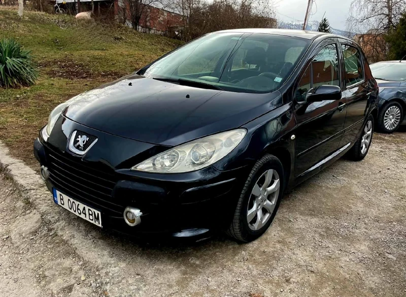 Peugeot 307, снимка 3 - Автомобили и джипове - 47009524