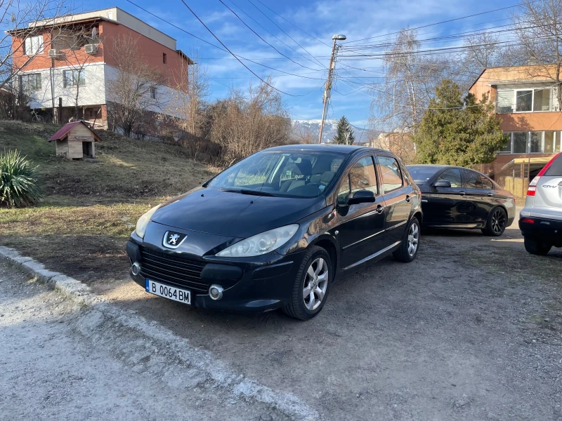 Peugeot 307, снимка 7 - Автомобили и джипове - 47009524