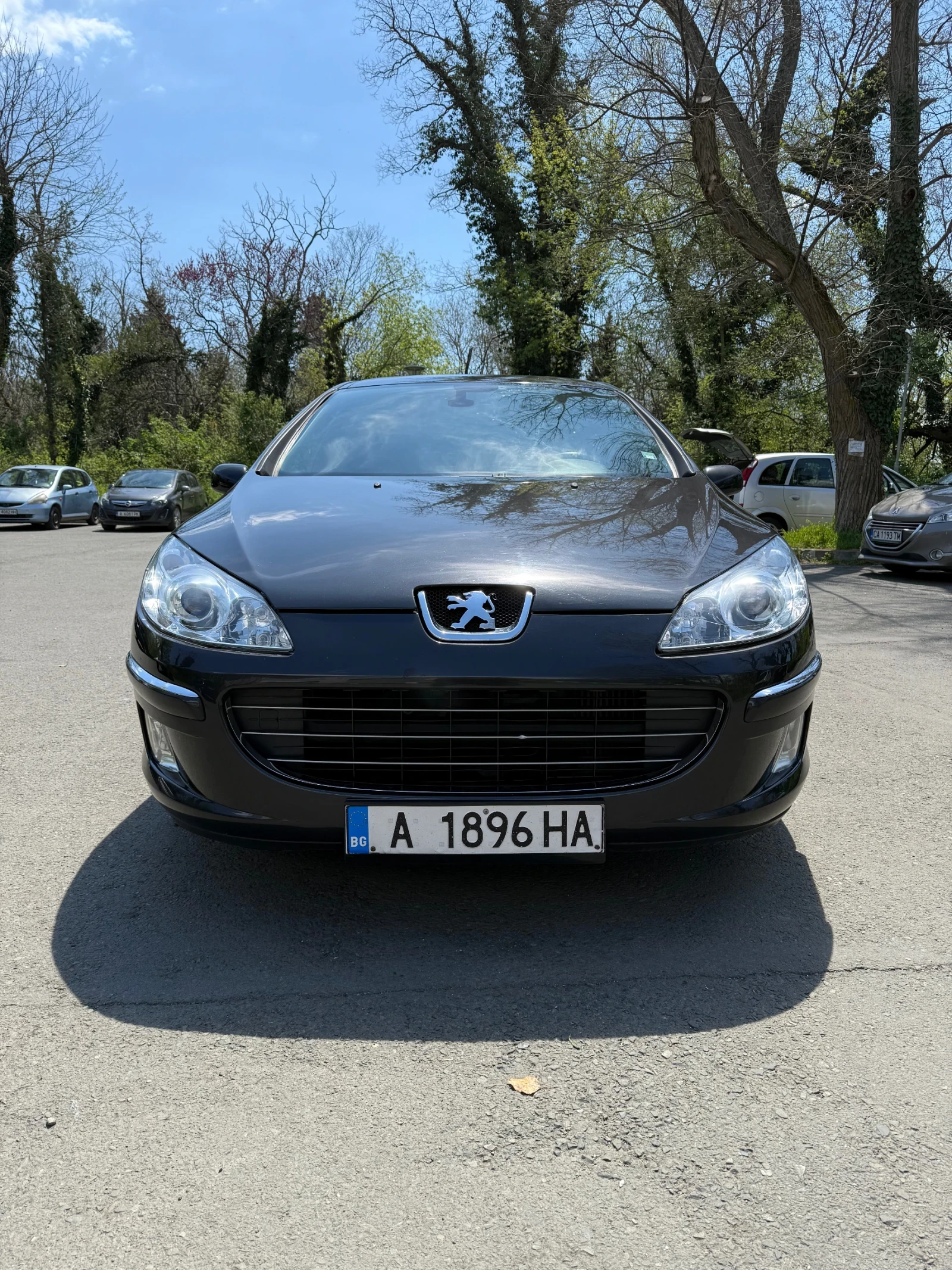 Peugeot 407 2.0 HDI, снимка 2 - Автомобили и джипове - 54694506
