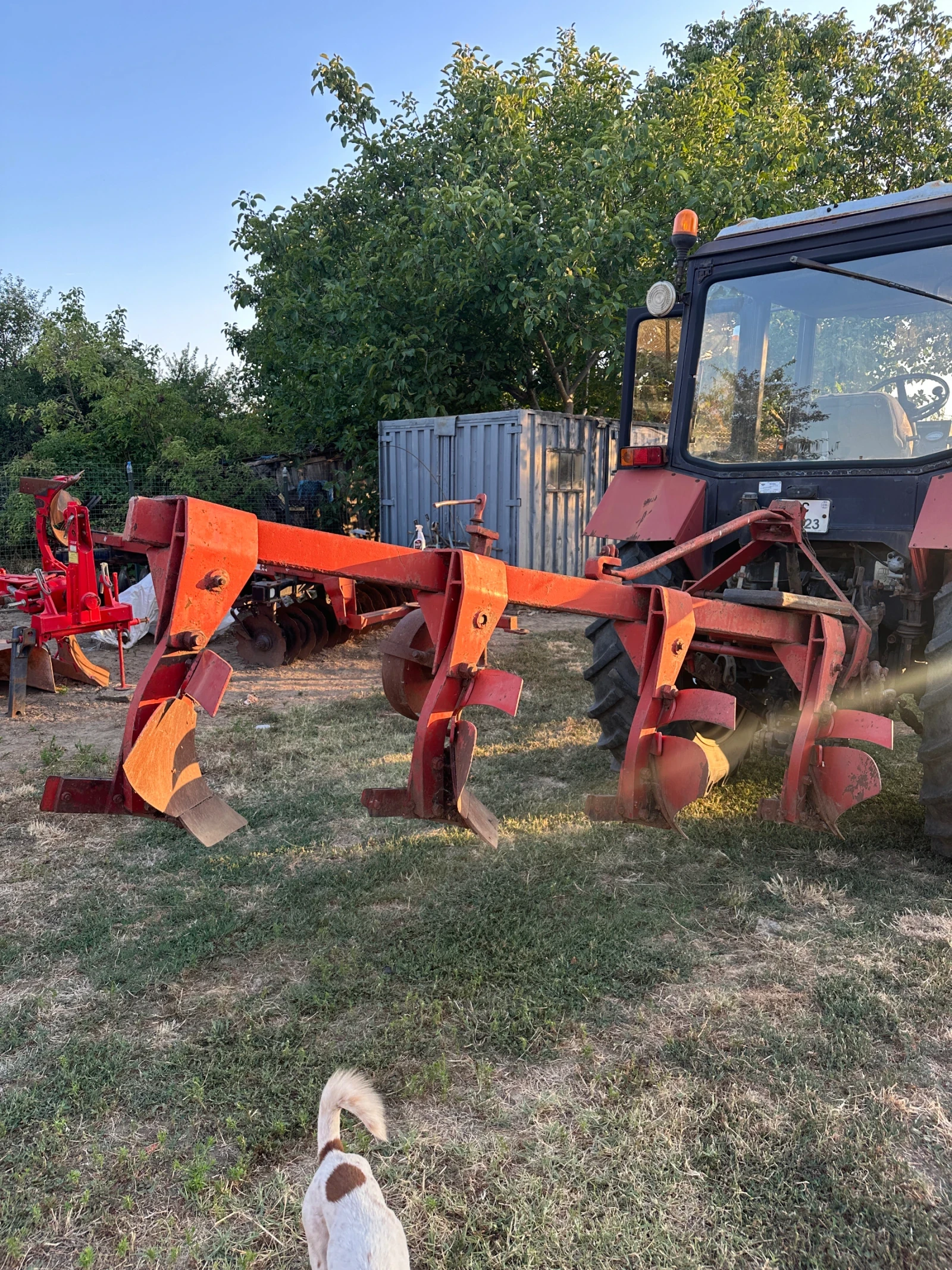 Трактор Беларус 1025, снимка 4 - Селскостопанска техника - 54300876