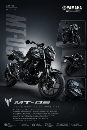 Yamaha Mt-03, снимка 8