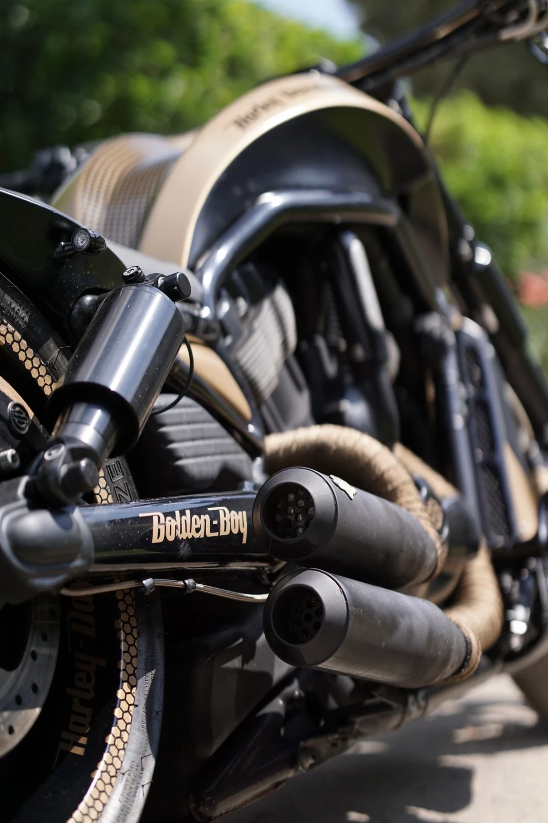 Harley-Davidson V-Rod  - изображение 10