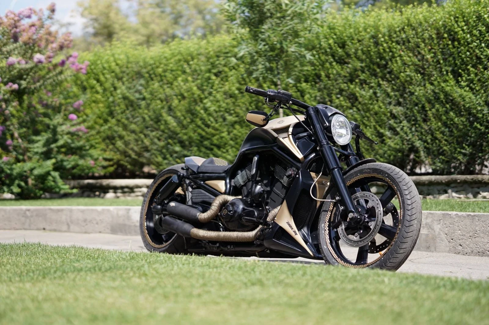 Harley-Davidson V-Rod  - изображение 4