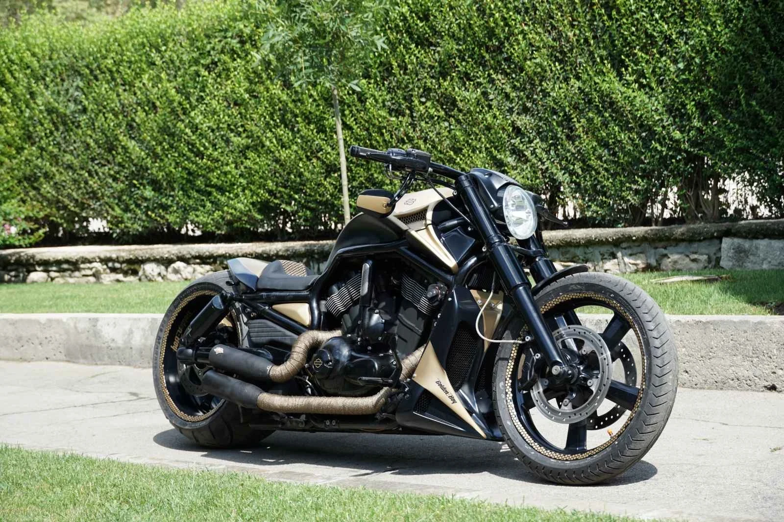 Harley-Davidson V-Rod  - изображение 6