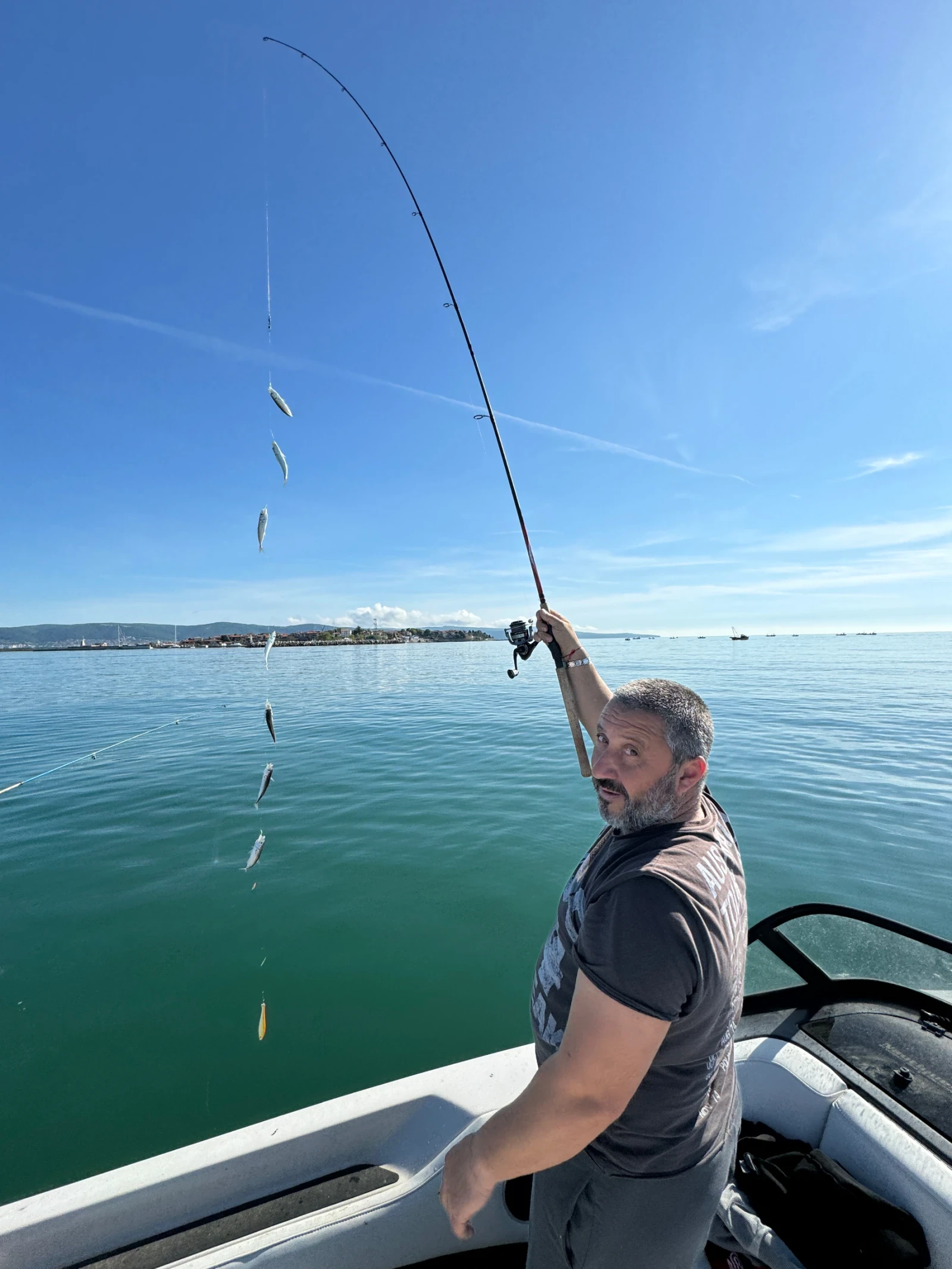 ���������� ����� Grand Soleil Grand Soleil | Mobile.bg � ����������� 3