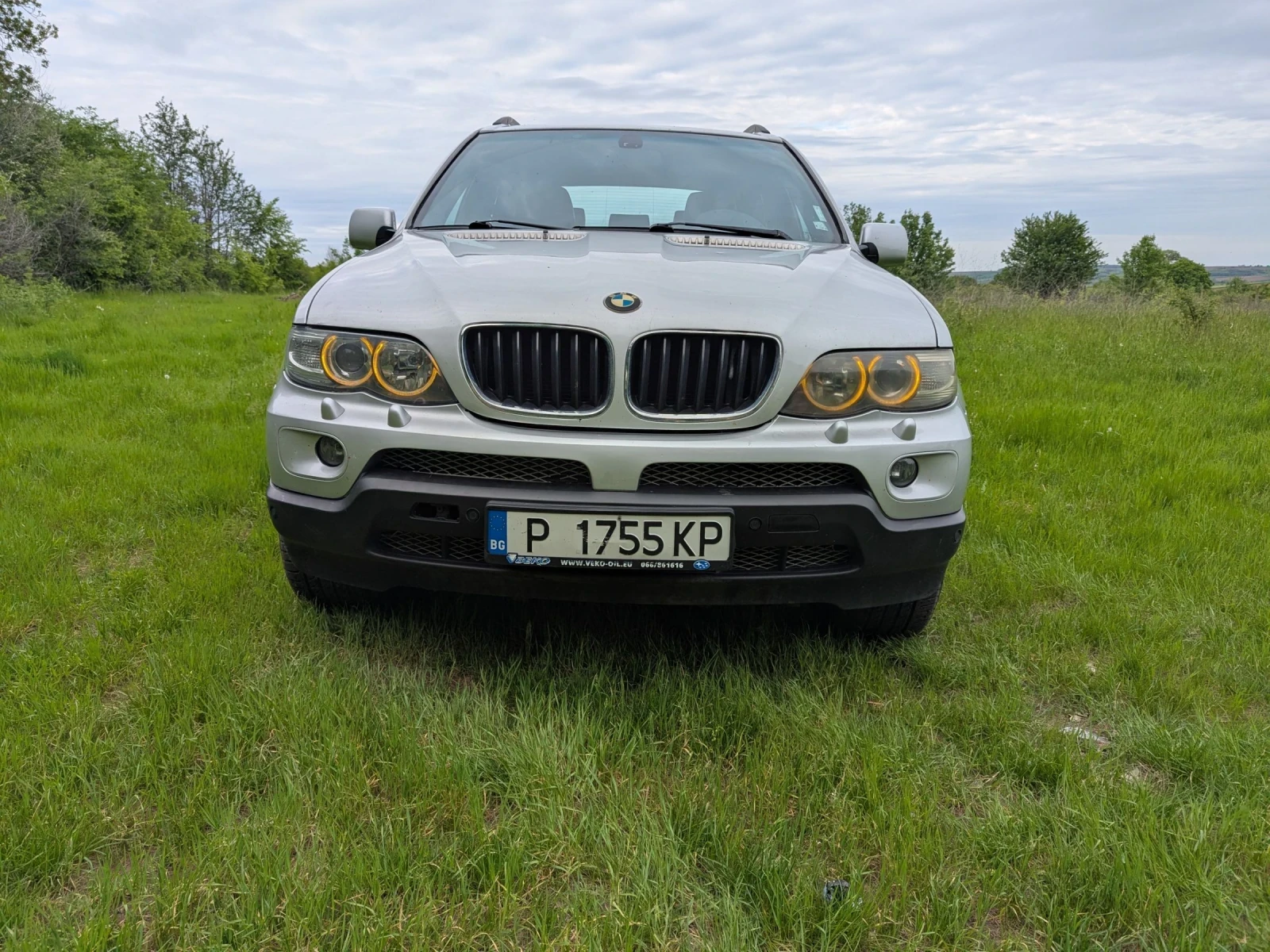 BMW X5 N62B44, снимка 1