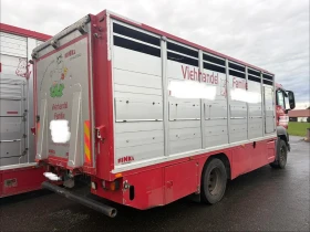 Man Tgs 26 480 EURO 6 6X2 За превоз на крави и телета | Auto.bg — изображение 6