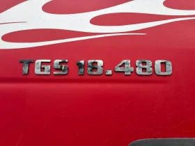 Man Tgs 26 480 EURO 6 6X2 За превоз на крави и телета | Auto.bg — изображение 10