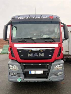 Man Tgs 26 480 EURO 6 6X2 За превоз на крави и телета | Auto.bg — изображение 3