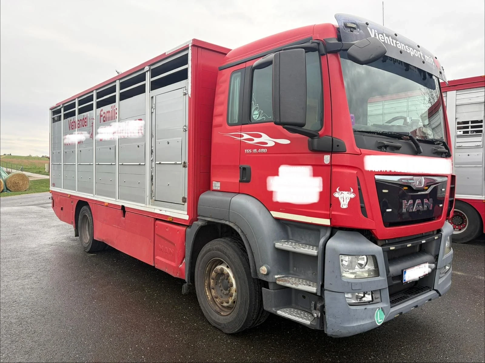Man Tgs 26 480 EURO 6 6X2 �� ������ �� ����� � ������ | Mobile.bg � ����������� 2