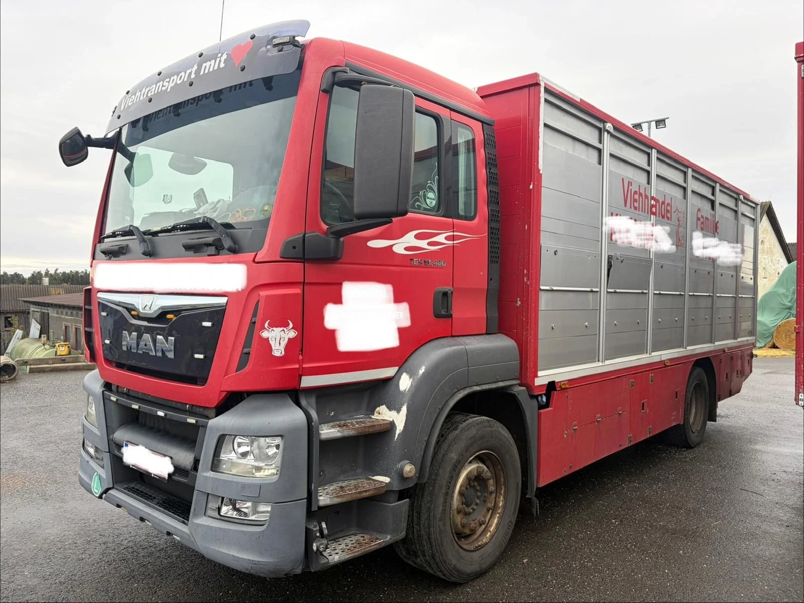 Man Tgs 26 480 EURO 6 6X2 За превоз на крави и телета