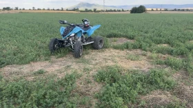 Yamaha Raptor, снимка 3