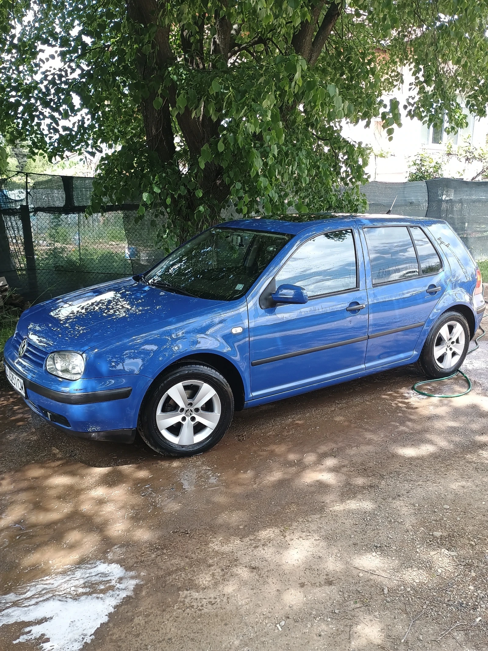 VW Golf