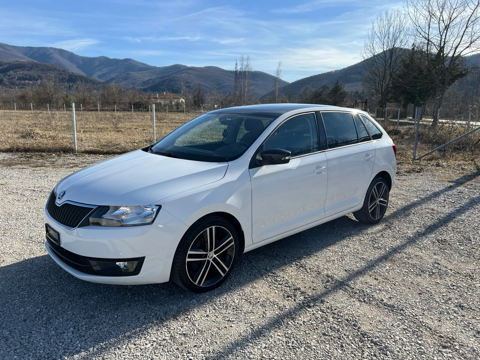 Skoda Rapid Monte Carlo - изображение 8