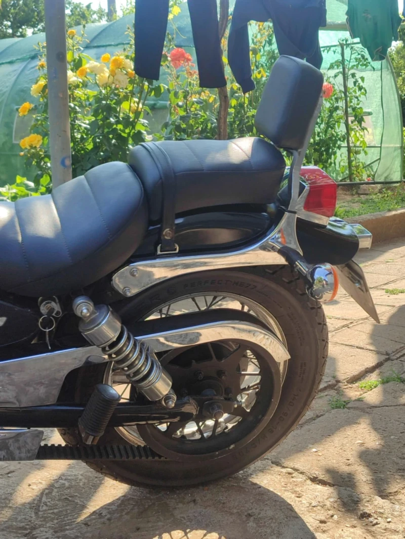 Suzuki Savage, снимка 8 - Мотоциклети и мототехника - 52460193