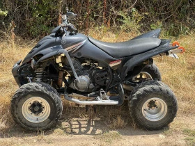 Yamaha Raptor 350 | Mobile.bg    3