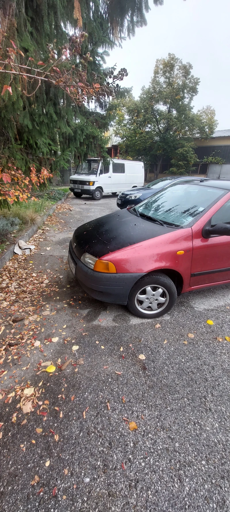 Fiat Punto, снимка 3 - Автомобили и джипове - 52496370