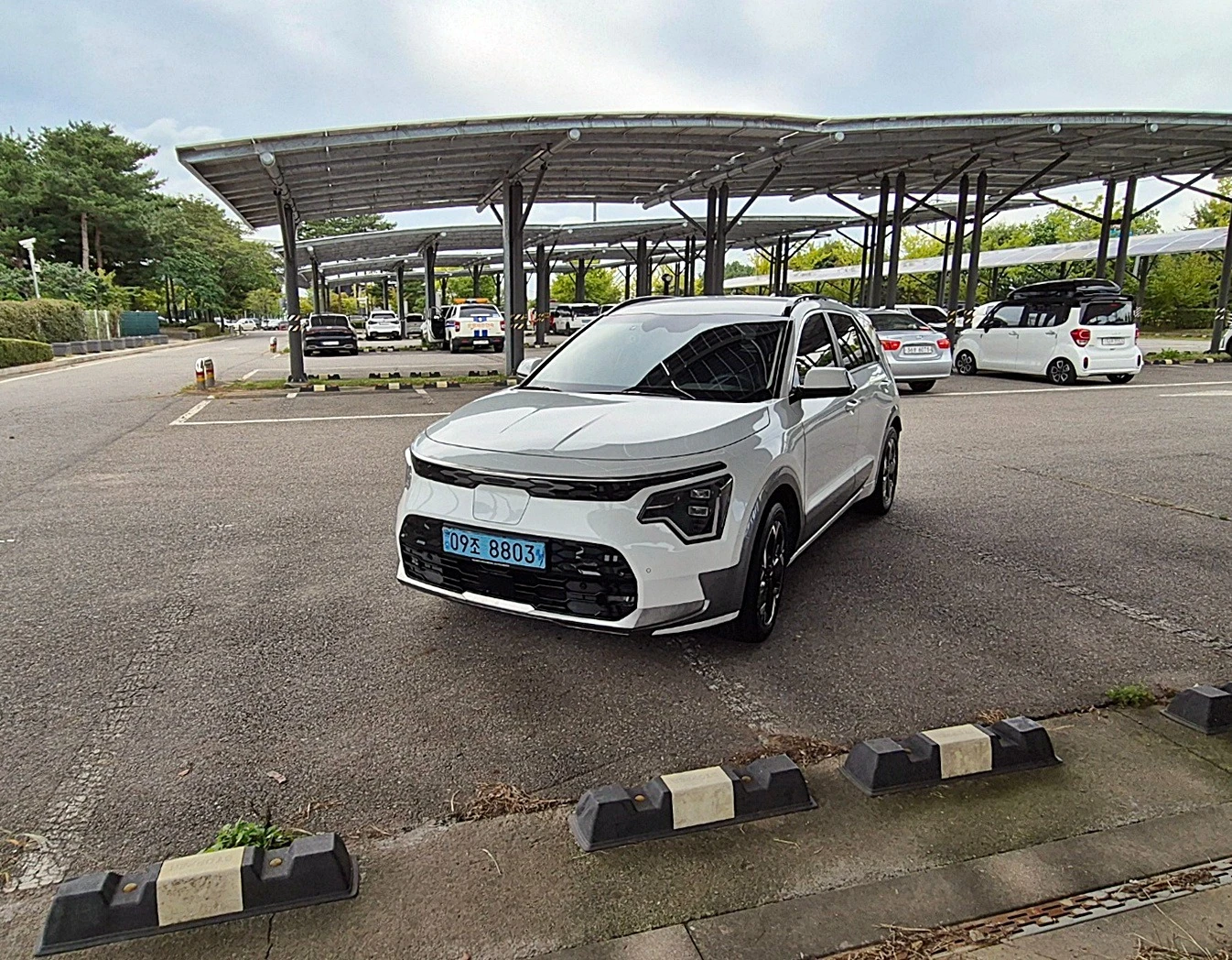 Kia Niro EV Earth * DIS * ОБДУХ * KAMEPA