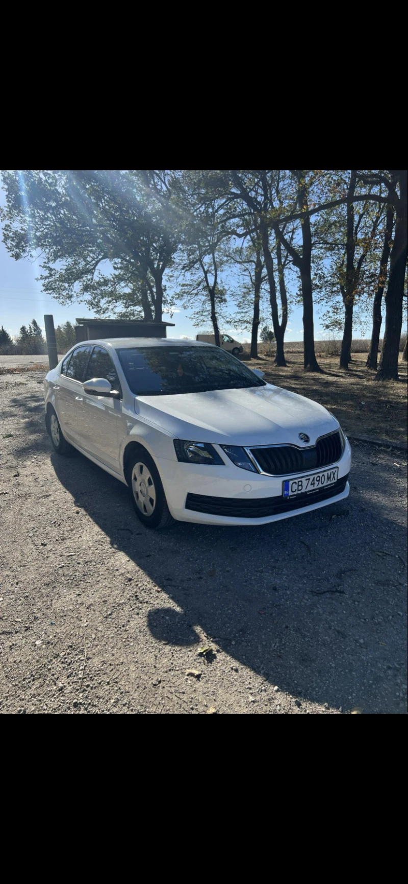 Skoda Octavia, снимка 2 - Автомобили и джипове - 46946372