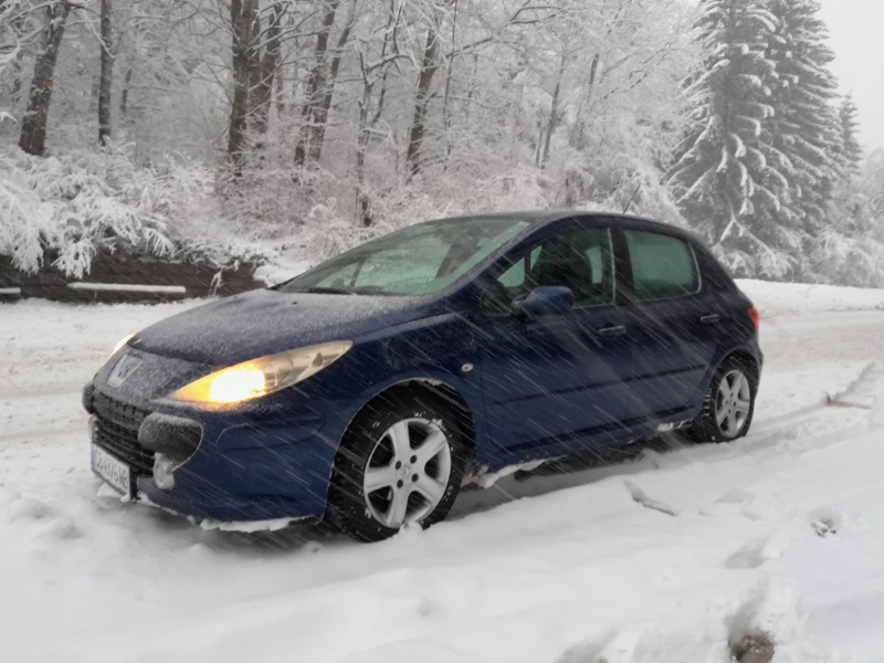 Peugeot 307 1.6 16v, снимка 16 - Автомобили и джипове - 48551172