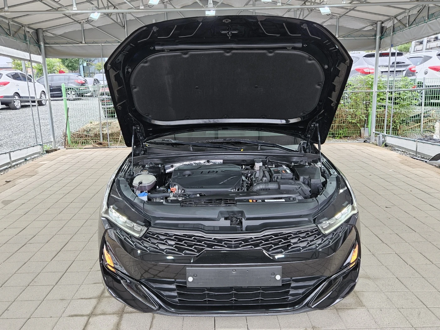 Kia K5 Специална цена преди да пристигне!www.carsbg11.com - изображение 9
