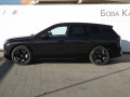 BMW iX xDrive40 - изображение 6