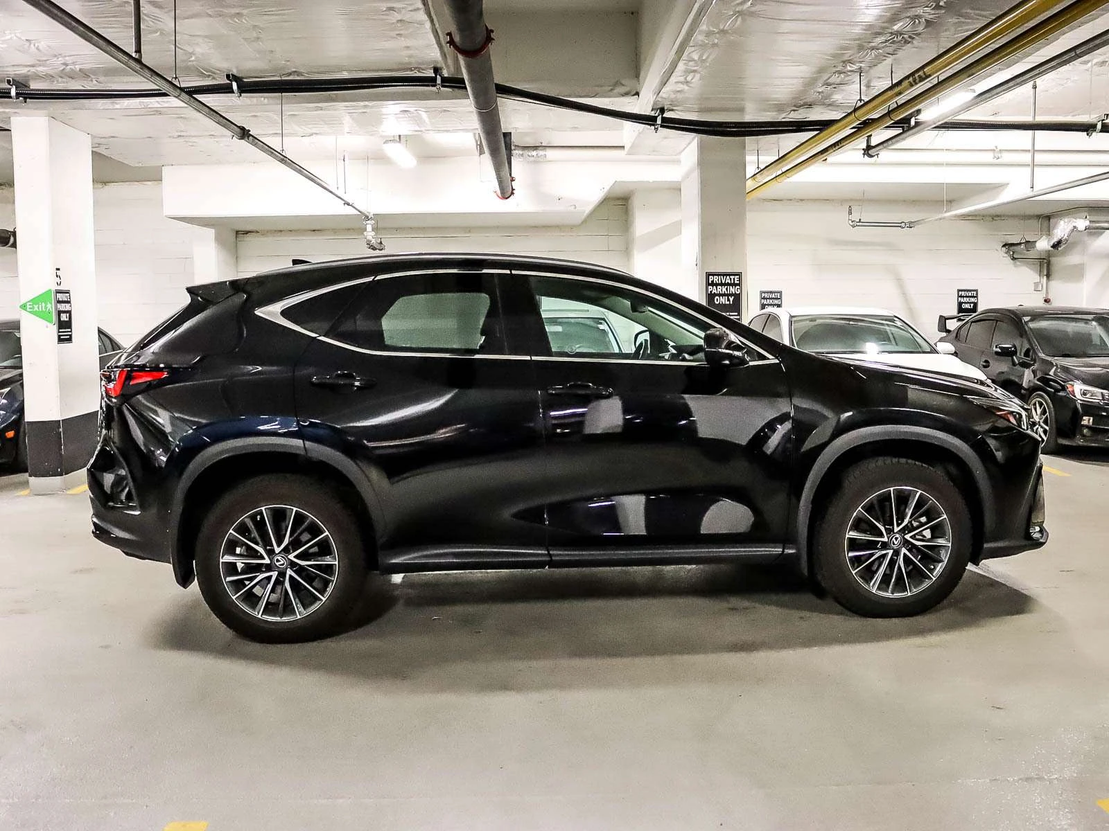 Lexus NX 250, ЦЕНА ДО БЪЛГАРИЯ, снимка 3 - Автомобили и джипове - 55486959