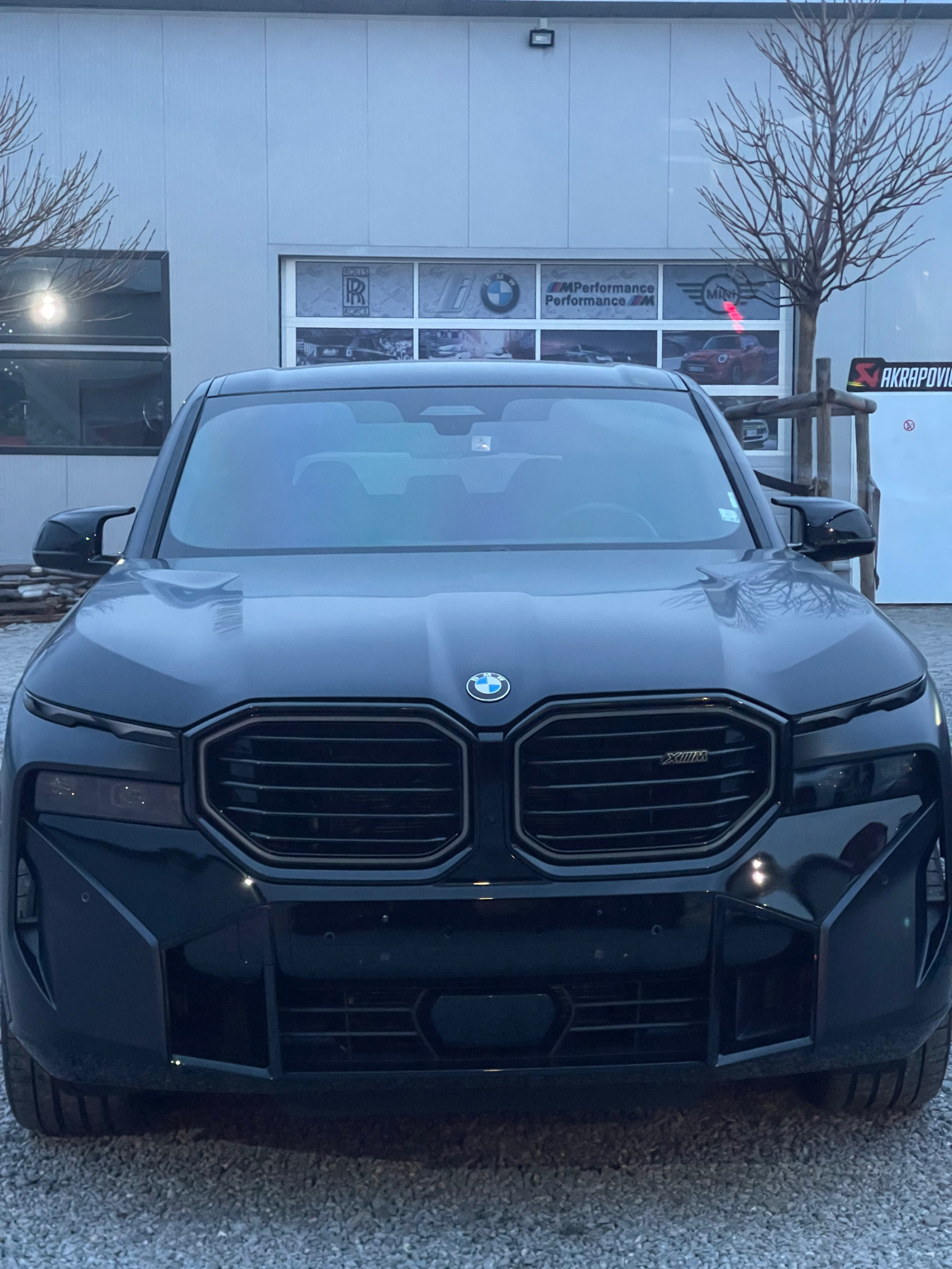 BMW XM  - изображение 1