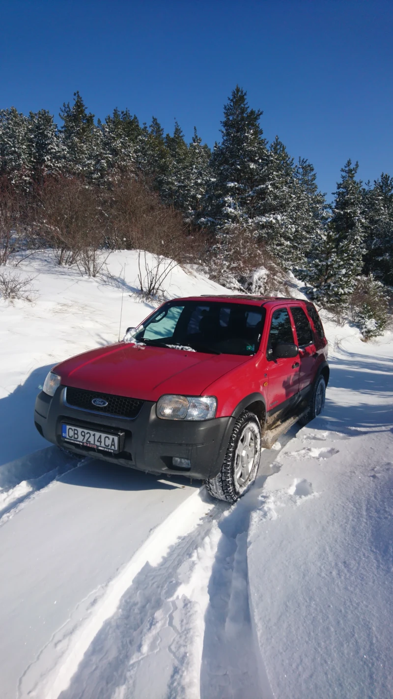 Ford Maverick, снимка 1 - Автомобили и джипове - 49317288