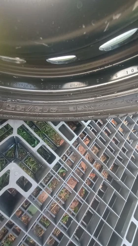    215/55R16  Citroen C5 | Mobile.bg    4