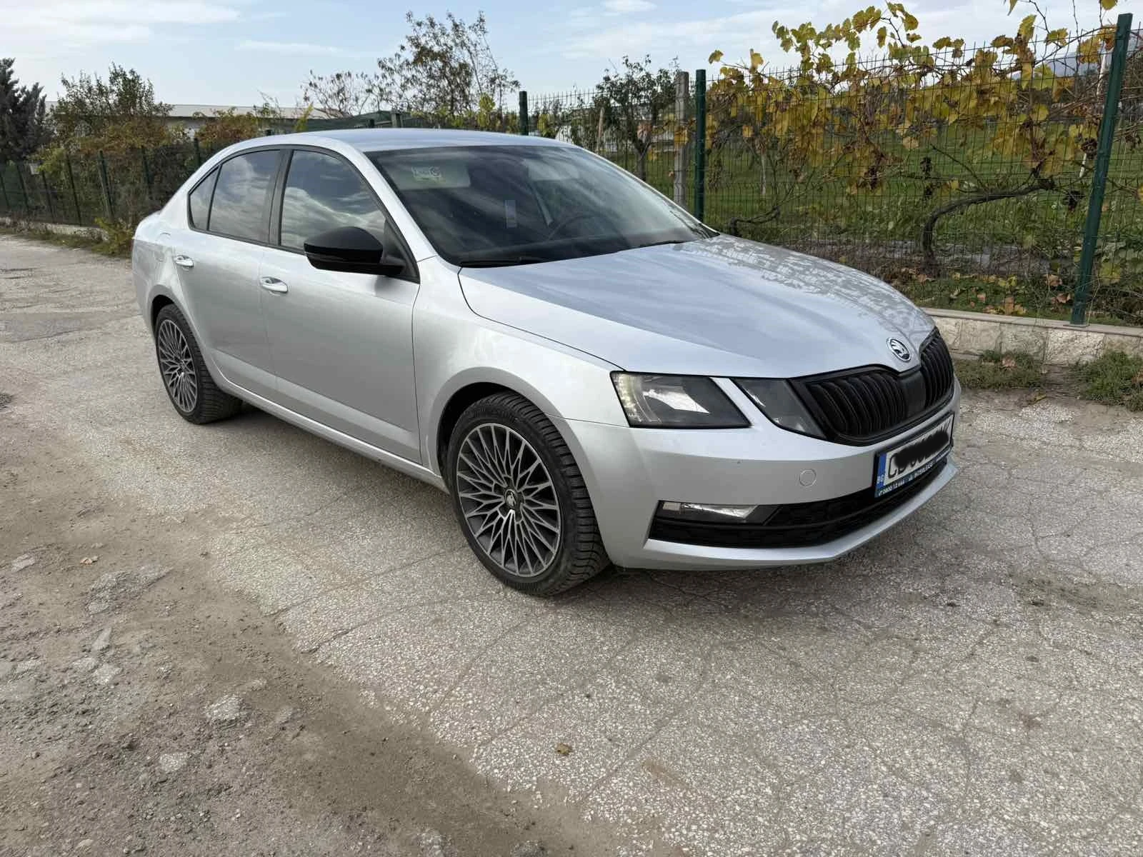 Skoda Octavia 2.0TDI 4x4 1 ���������� | Mobile.bg � ����������� 1