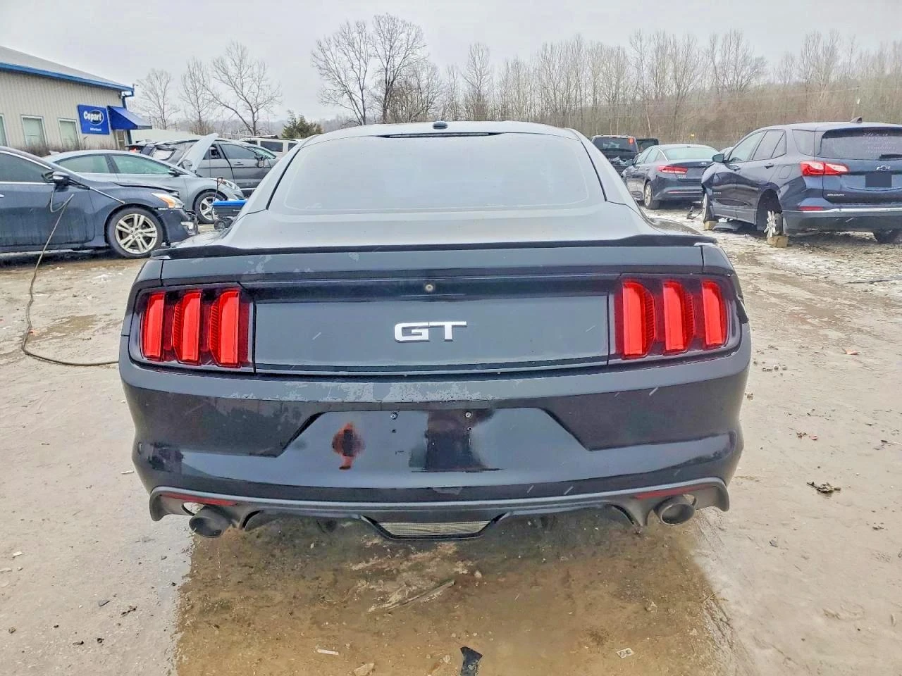 Ford Mustang 5.0 V8* ����* NAVI* ���������* �������* ����� �.�* | Mobile.bg � ����������� 6