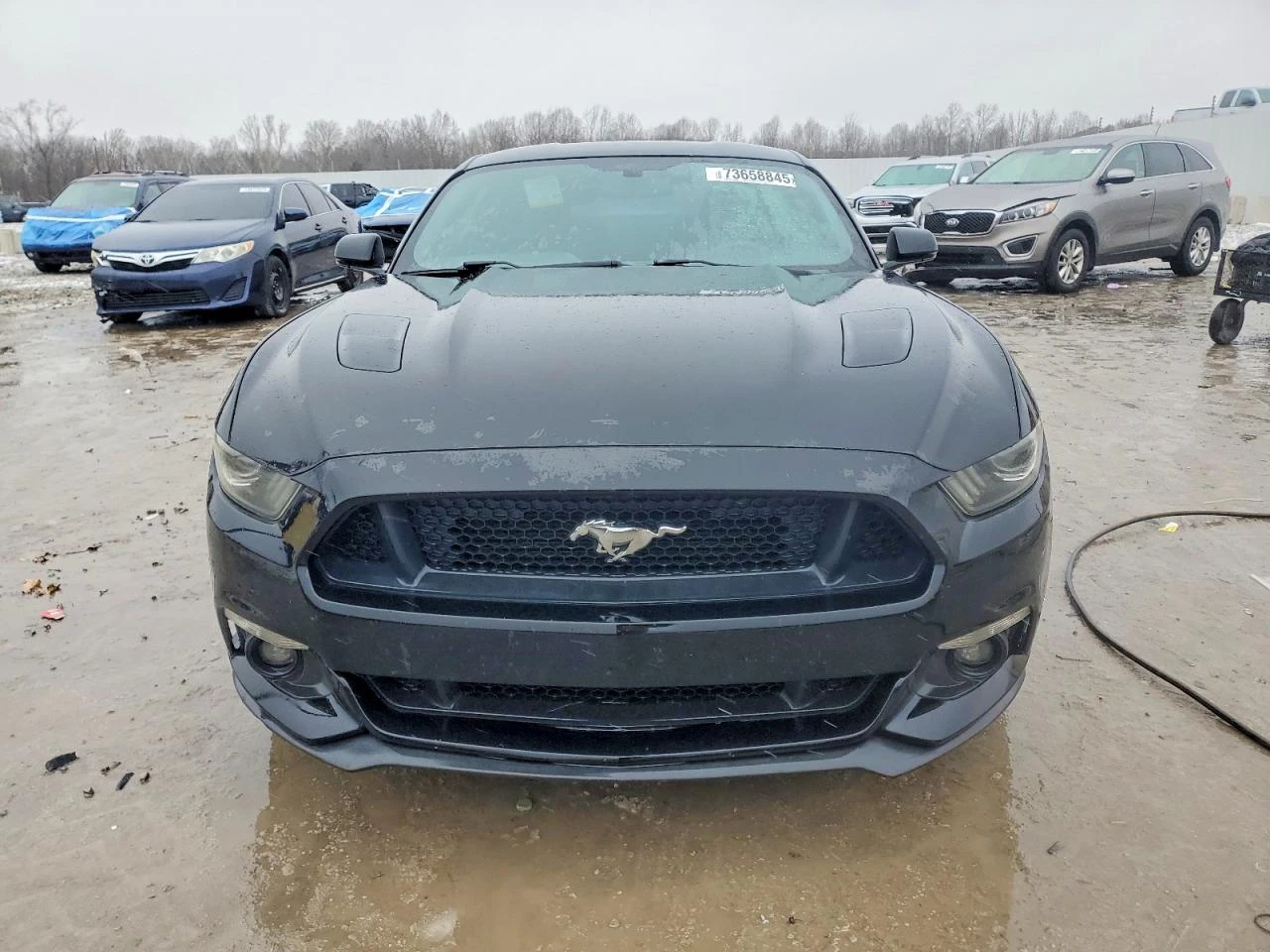 Ford Mustang 5.0 V8* ����* NAVI* ���������* �������* ����� �.�* | Mobile.bg � ����������� 5