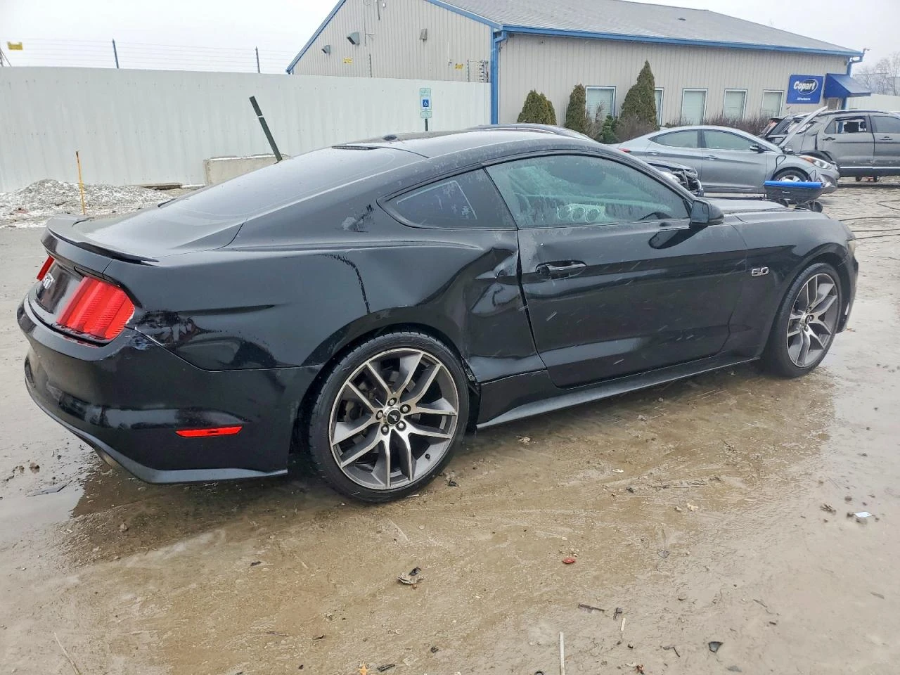 Ford Mustang 5.0 V8* ����* NAVI* ���������* �������* ����� �.�* | Mobile.bg � ����������� 3