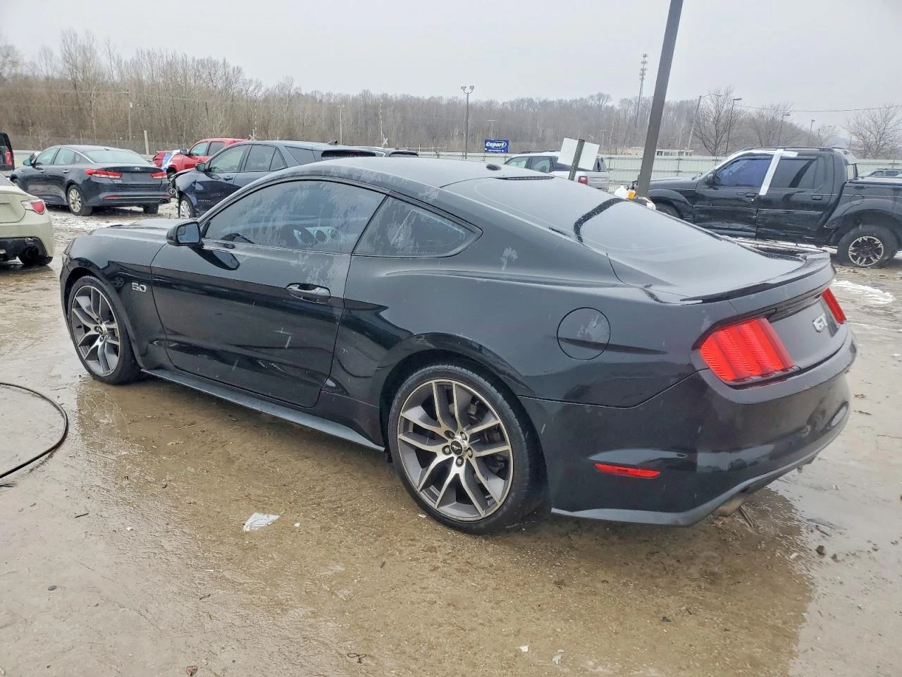 Ford Mustang 5.0 V8* ����* NAVI* ���������* �������* ����� �.�* | Mobile.bg � ����������� 2