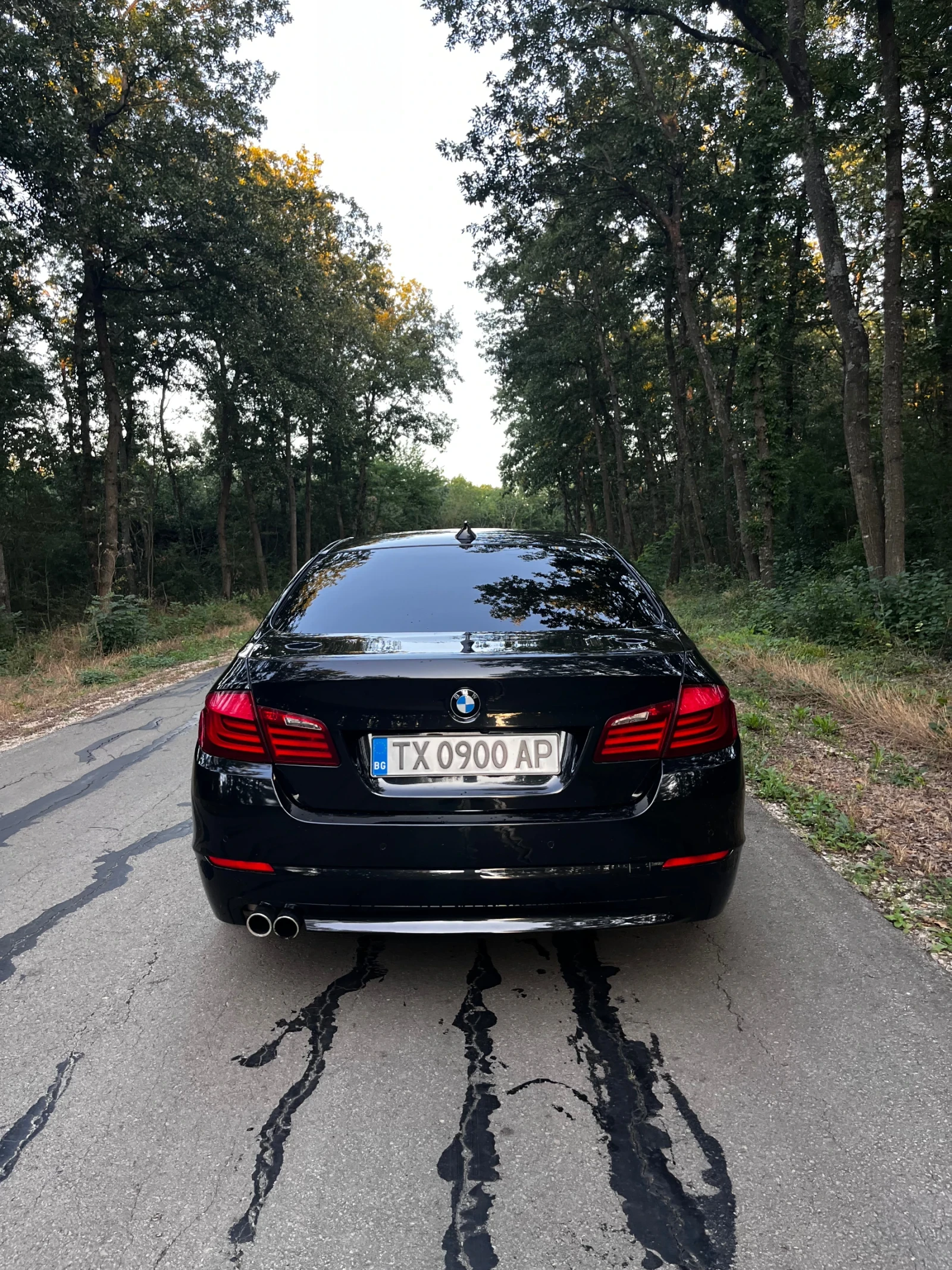 BMW 530, снимка 6 - Автомобили и джипове - 55972130