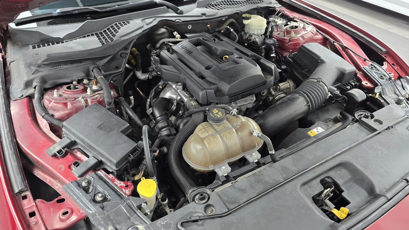 Ford Mustang Coupe 2.3 Ecoboost autogeorge.com, снимка 9 - Автомобили и джипове - 56182050