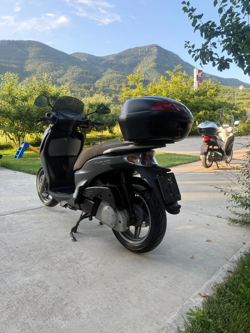 Malaguti Password PERFEKTEN 250 08, снимка 5 - Мотоциклети и мототехника - 50670567