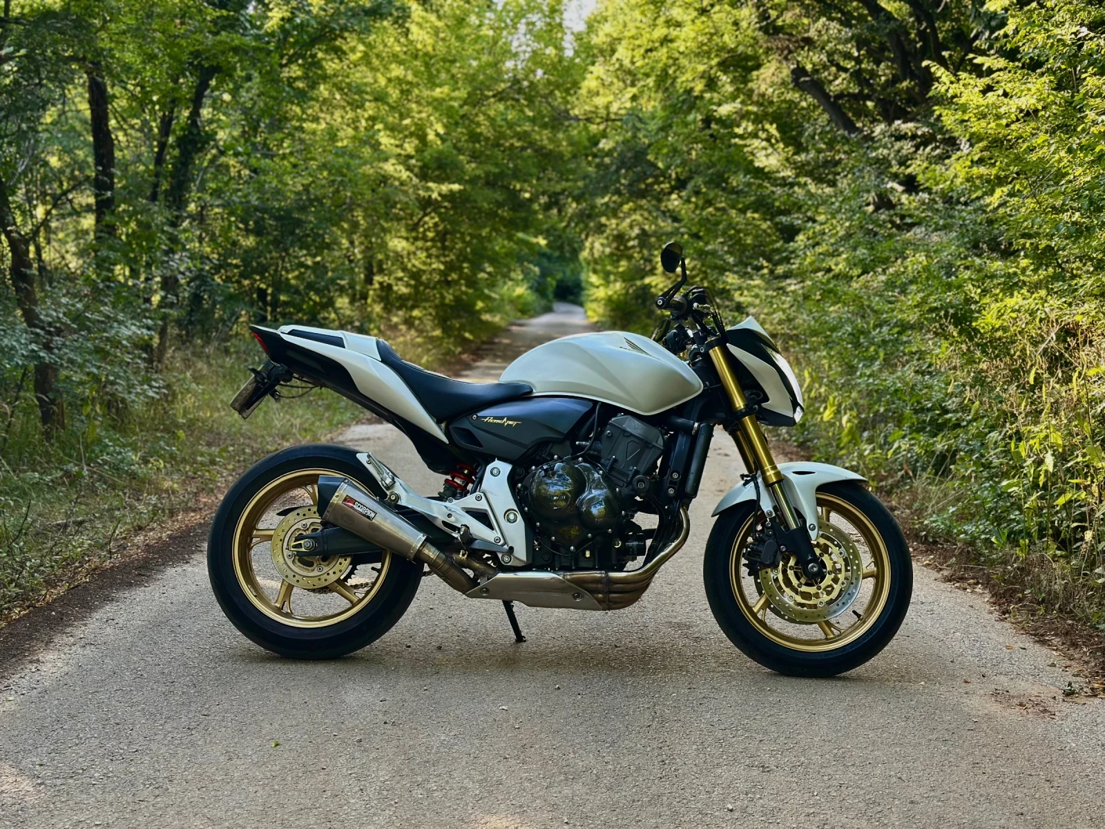 Honda Hornet, снимка 3 - Мотоциклети и мототехника - 55446253
