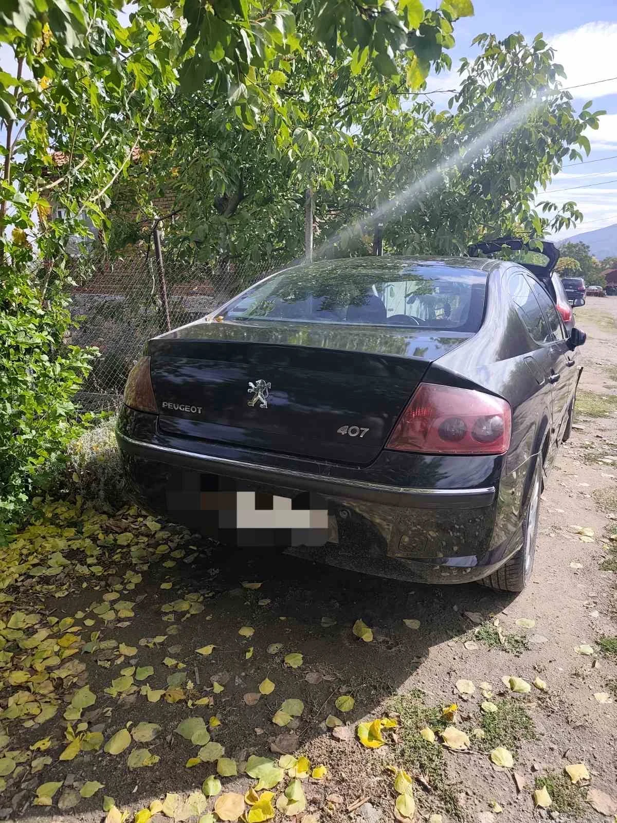 Peugeot 407