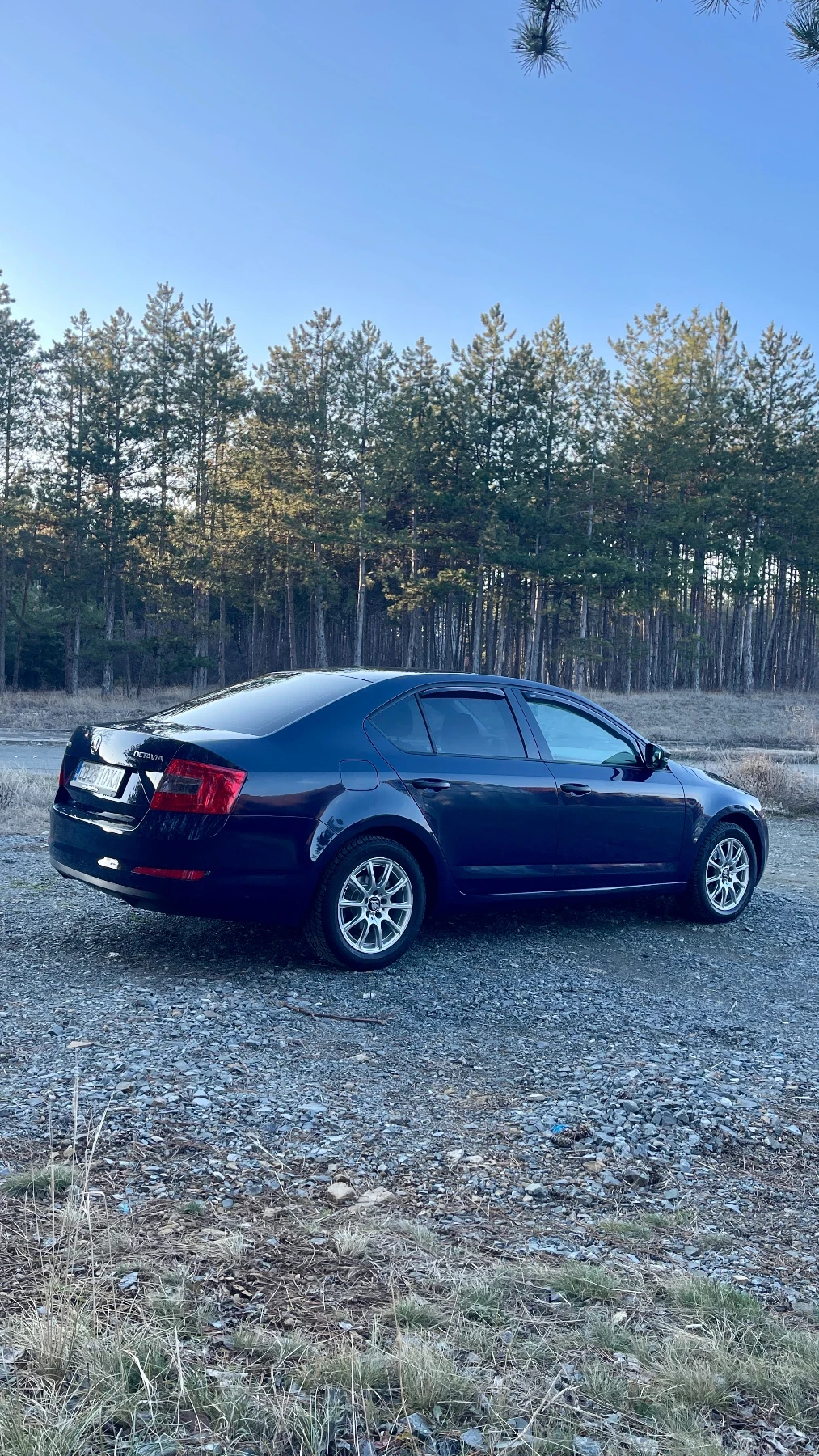Skoda Octavia 1.6 TDI | Mobile.bg � ����������� 3