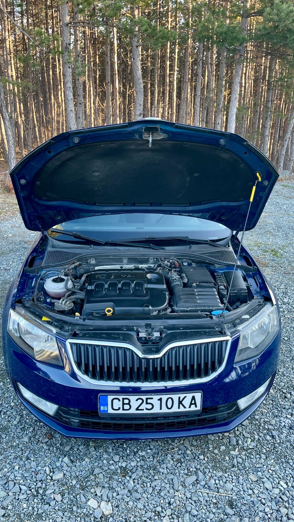 Skoda Octavia 1.6 TDI | Mobile.bg � ����������� 6