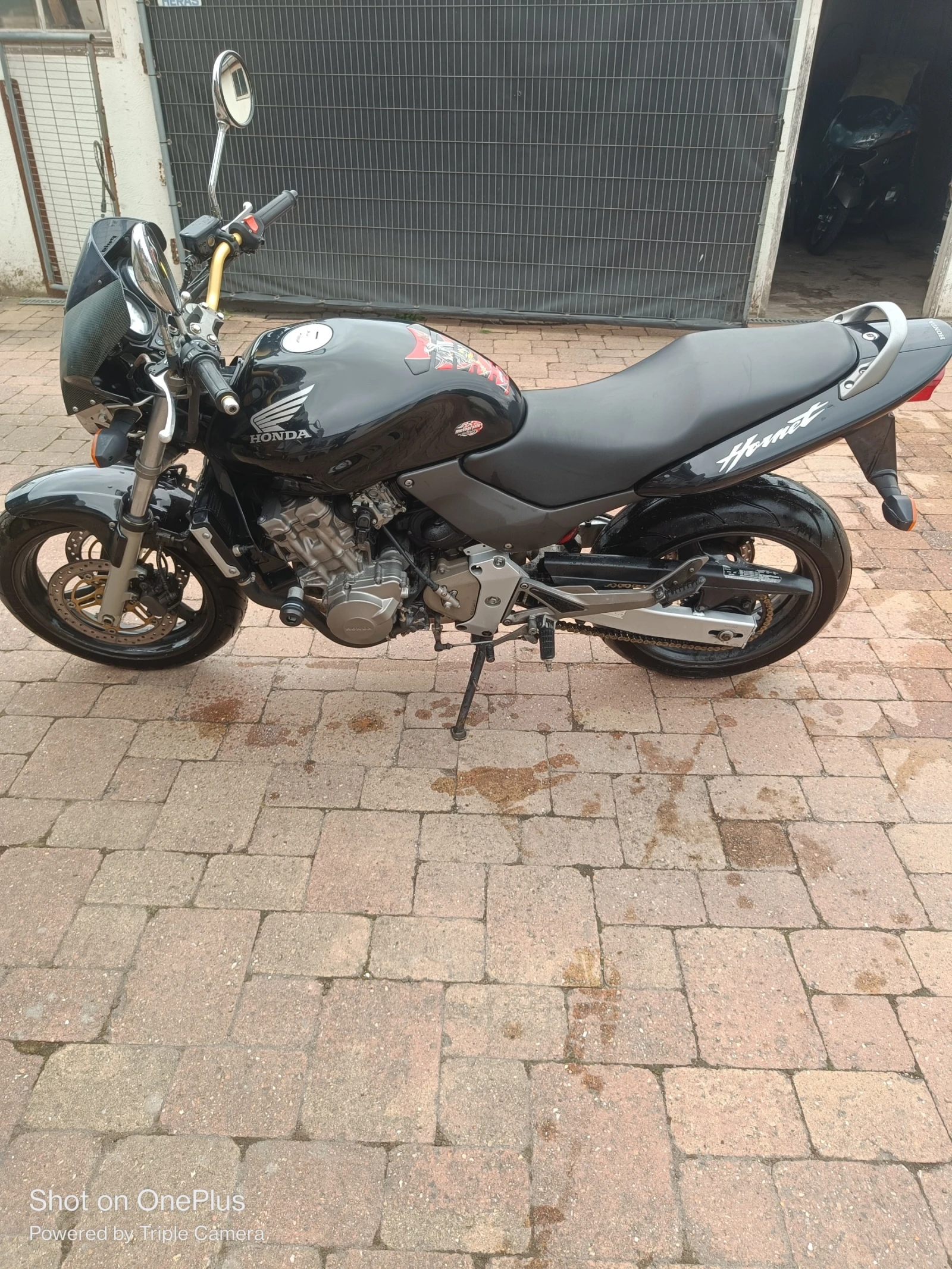 Honda Hornet  - изображение 6