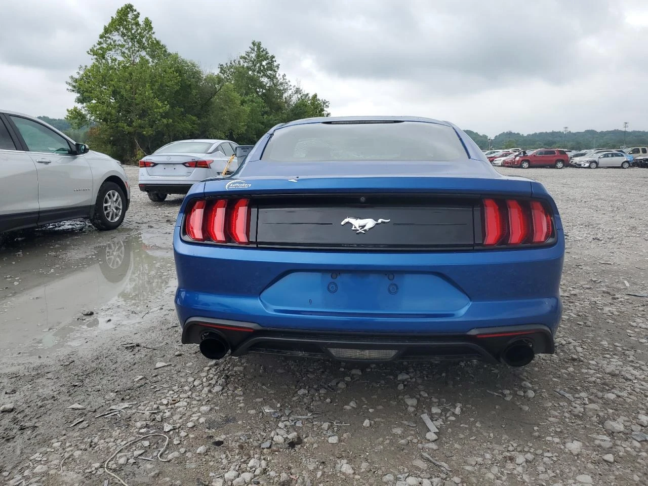 Ford Mustang  EcoBoost Fastback - изображение 6
