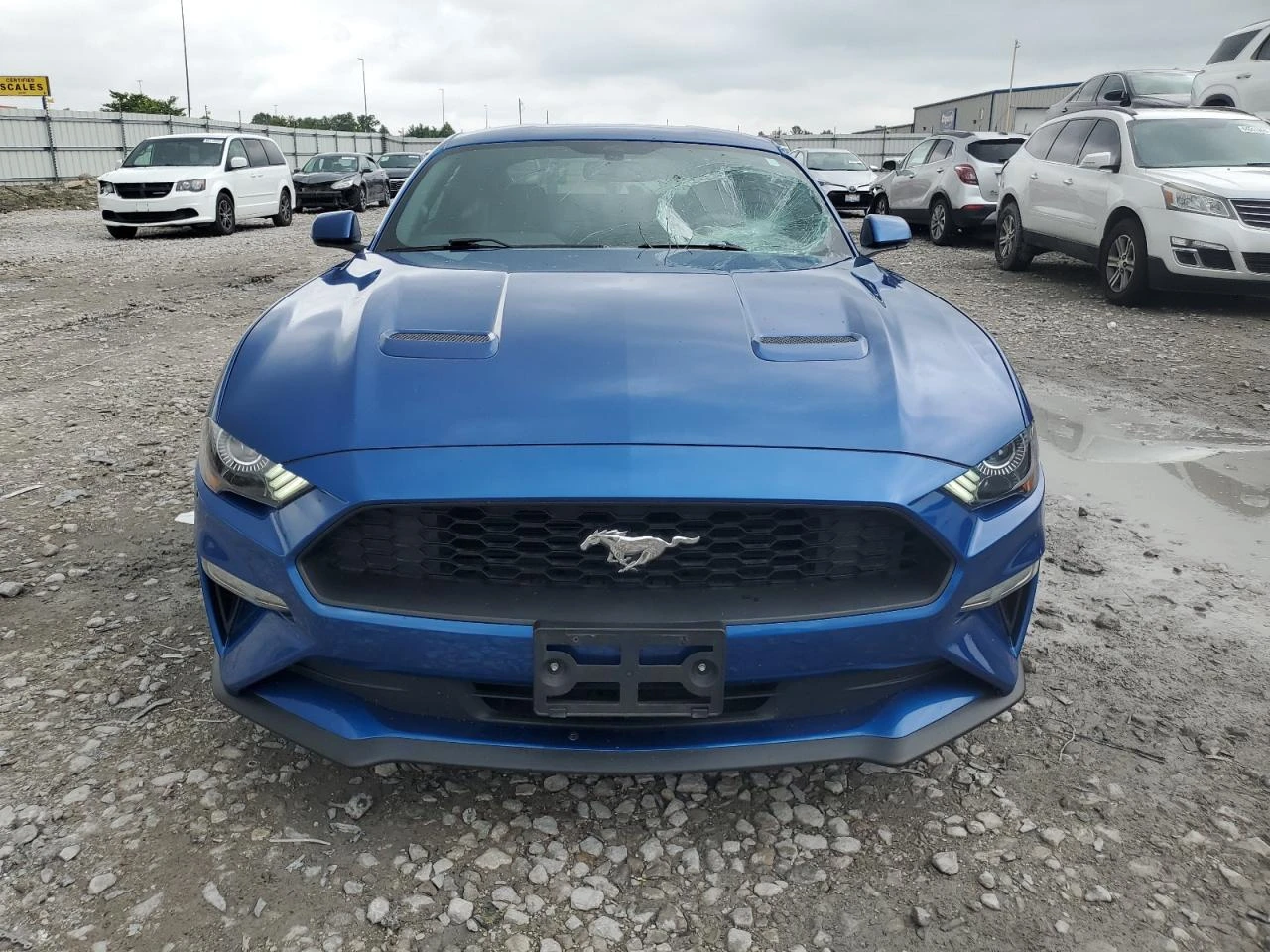 Ford Mustang  EcoBoost Fastback - изображение 2