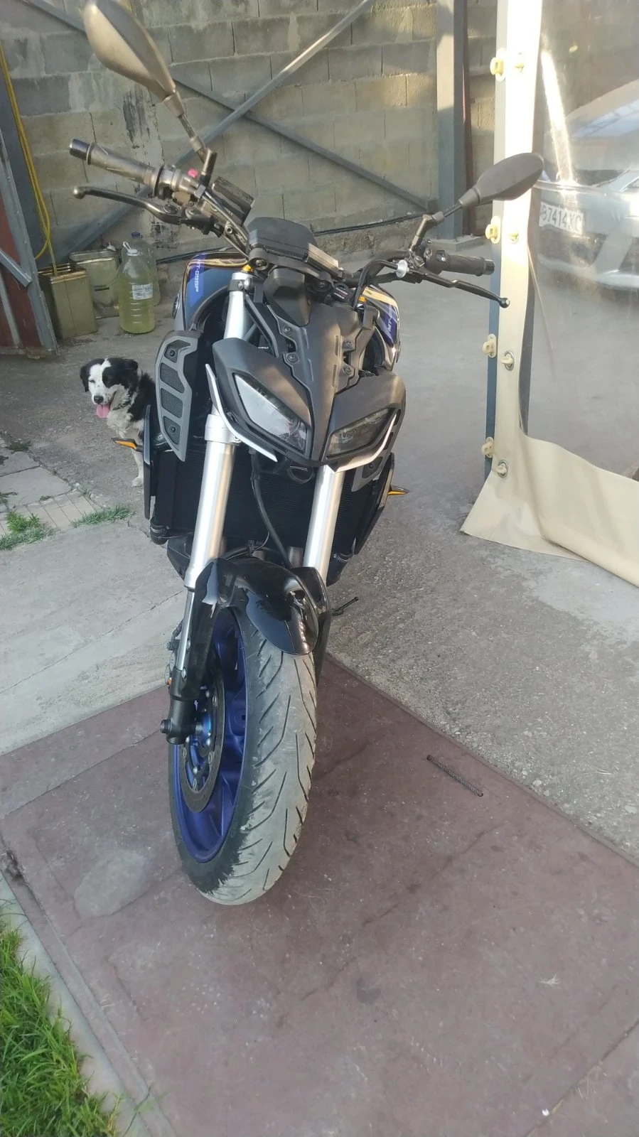 Yamaha Mt-09 SP - изображение 4